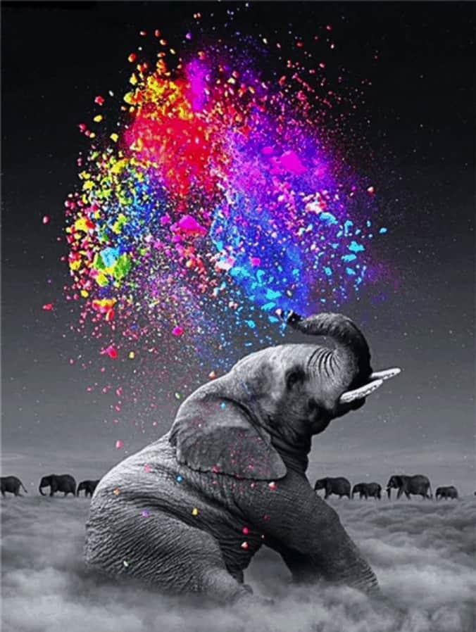 Diamond Painting Kleurrijke Olifant - SEOS Shop ®