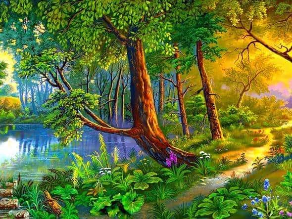 Diamond Painting Boom aan het water – SEOS Shop ®