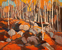 Diamond Painting - De Birch Grove - SEOS Shop ®