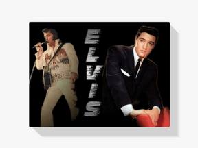 Diamond Painting Elvis Presley twee fases - SEOS Shop ®