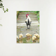 Diamond Painting Kuikentjes - SEOS Shop ®