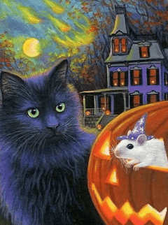 Diamond Painting Kat En Muis - SEOS Shop ®