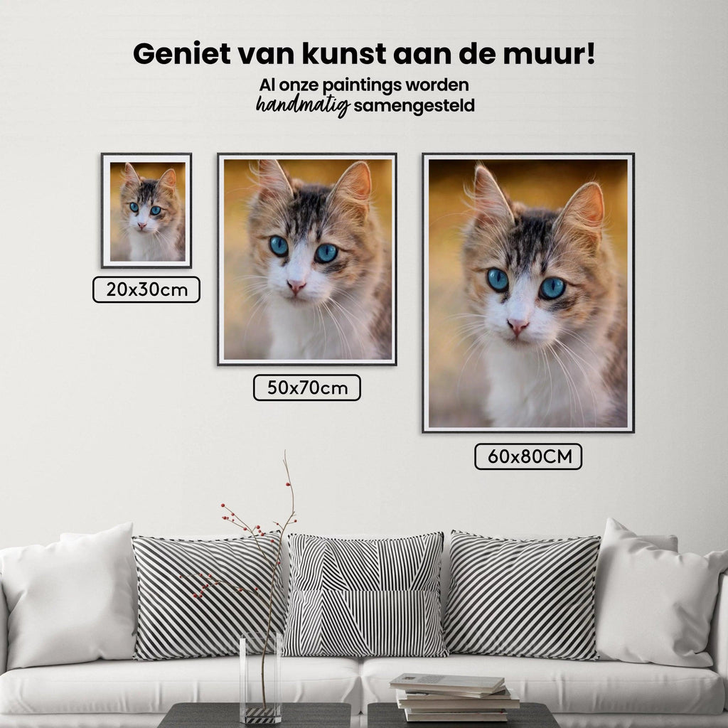 Diamond Painting Kitten met blauwe ogen - SEOS Shop ®