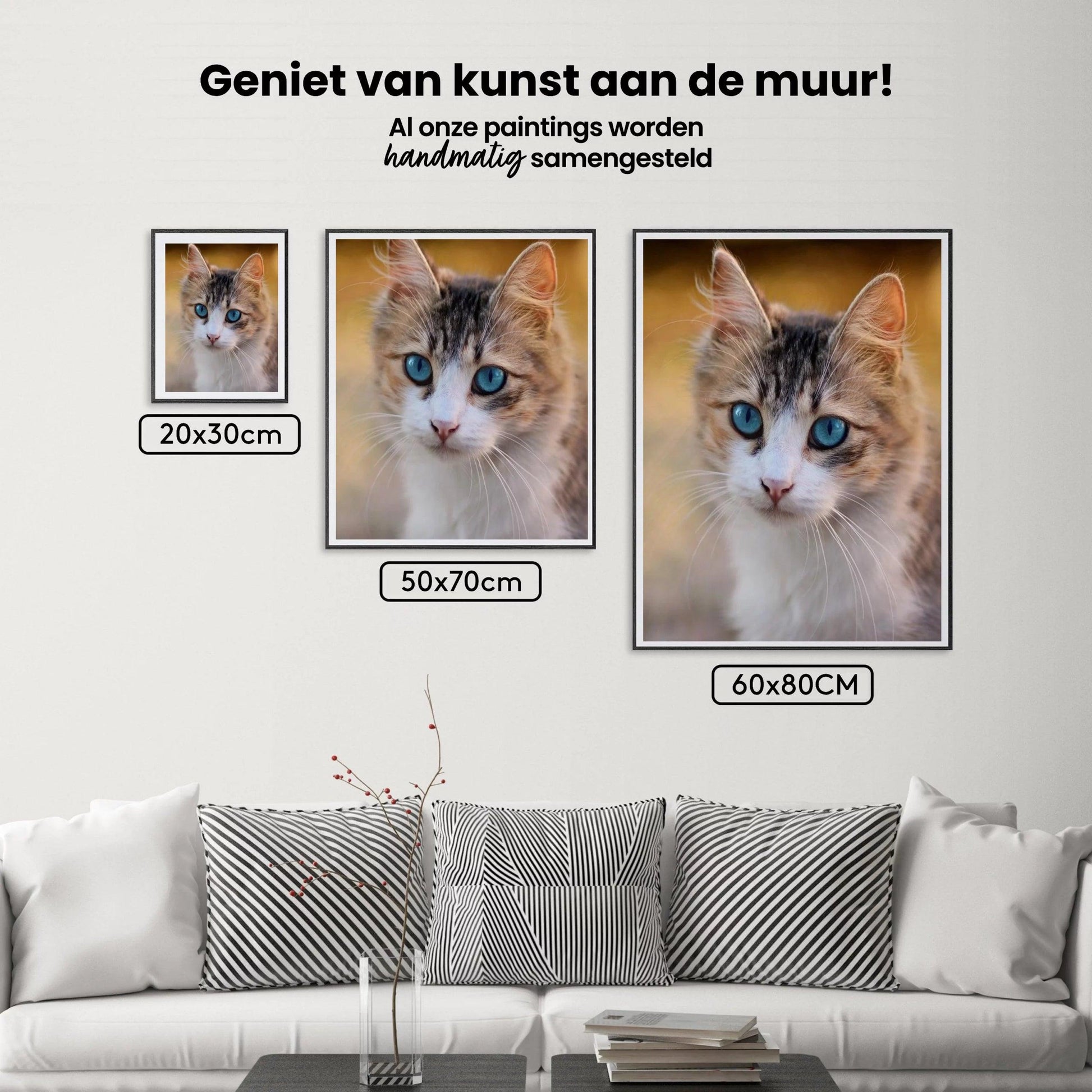 Diamond Painting Kitten met blauwe ogen - SEOS Shop ®