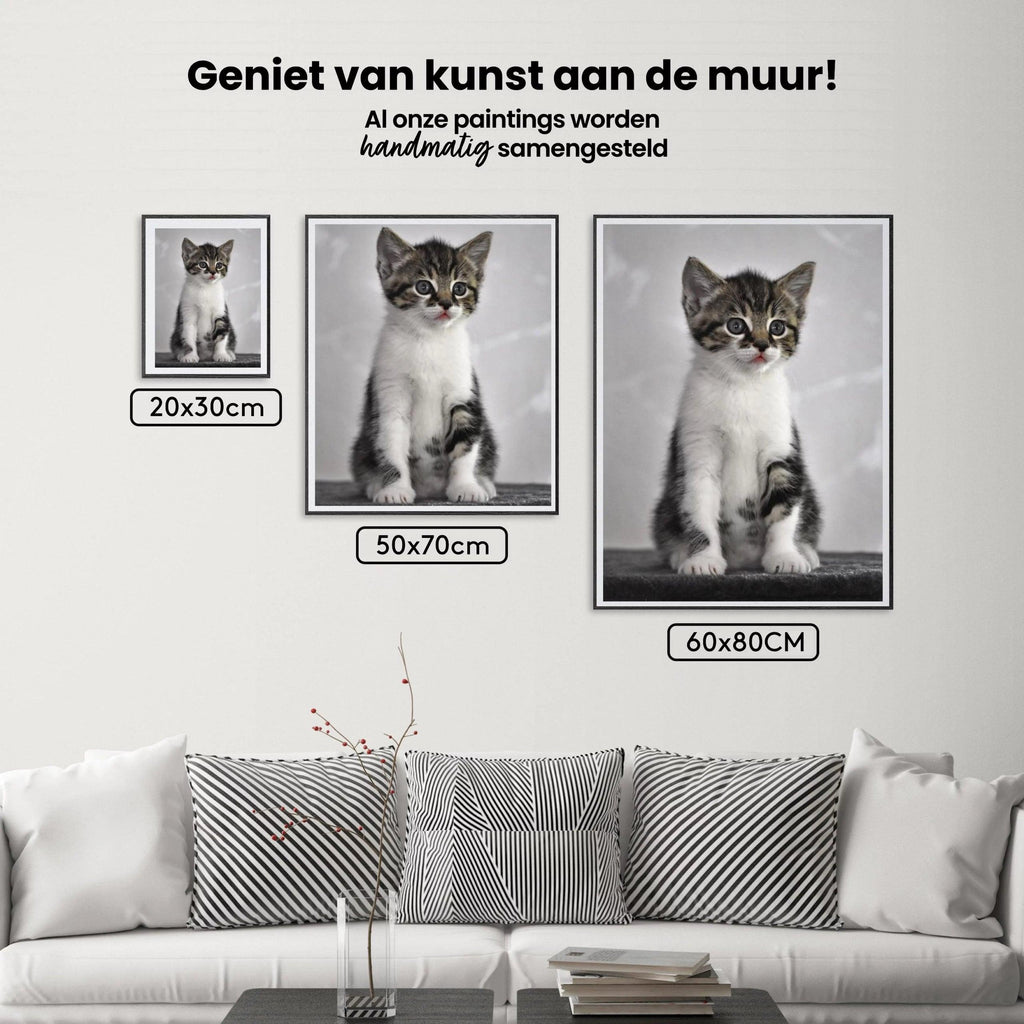 Diamond Painting Kitten met grijze ogen - SEOS Shop ®