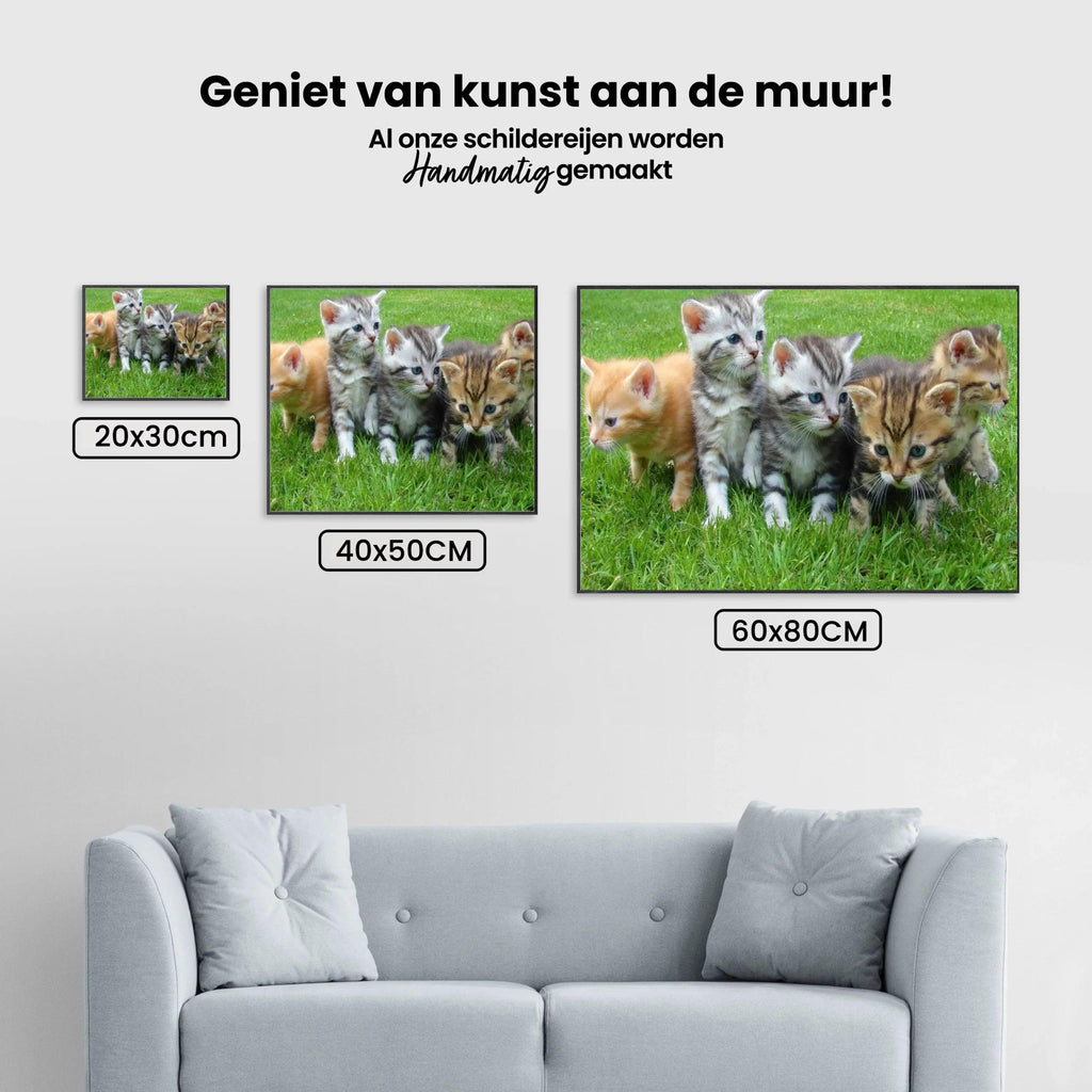 Diamond Painting Kittens Volledig - SEOS Shop ®