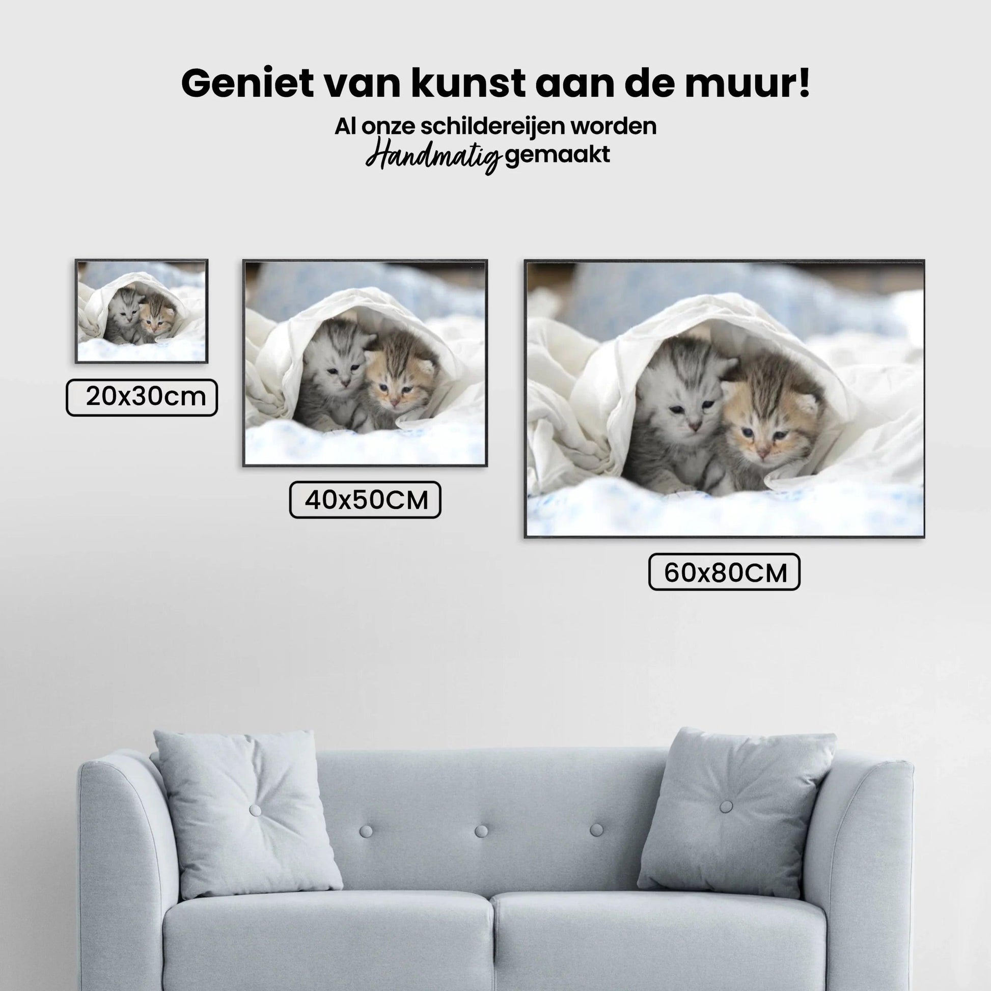 Diamond Painting Kittens in Bed - SEOS Shop ®