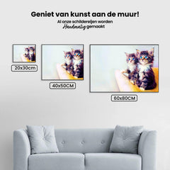 Diamond Painting Kittens met blauwe ogen - SEOS Shop ®