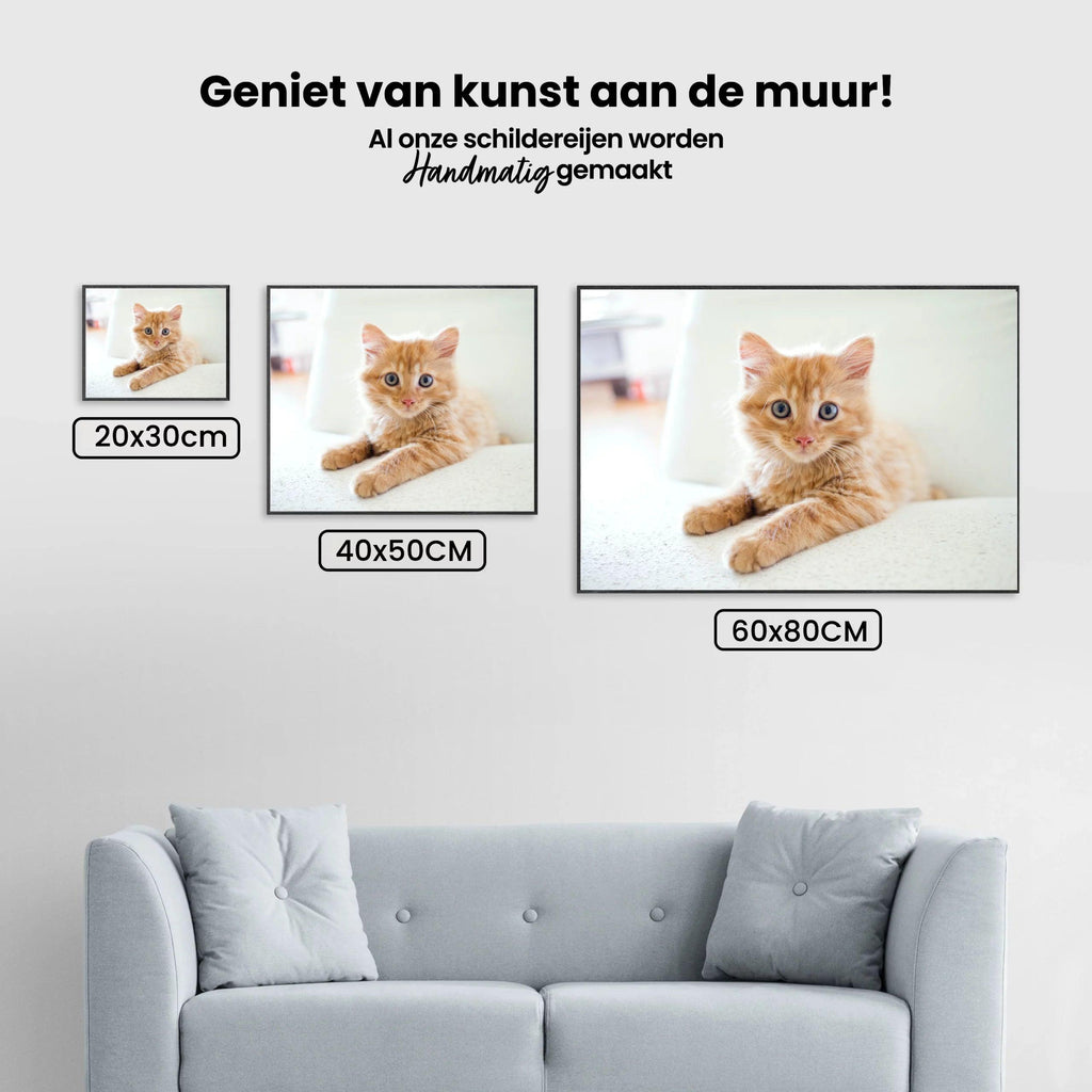 Diamond Painting Kleine kitten in een stoel - SEOS Shop ®
