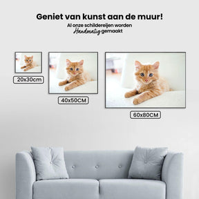 Diamond Painting Kleine kitten in een stoel - SEOS Shop ®