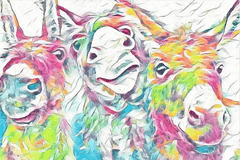 Diamond Painting Kleurrijke ezels - SEOS Shop ®