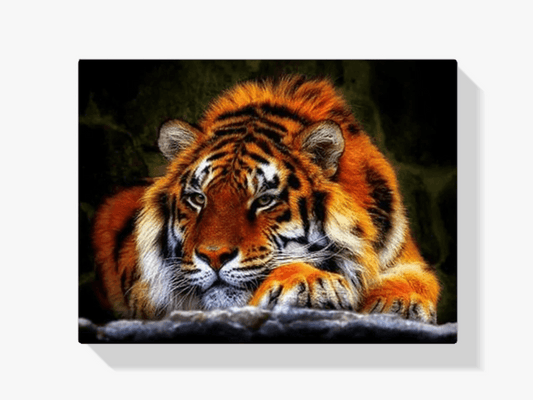 Diamond Painting Liggende Tijger - SEOS Shop ®