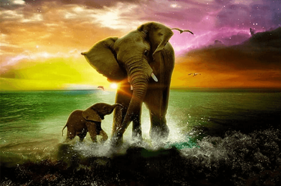 Diamond Painting Olifant met kalfje - SEOS Shop®