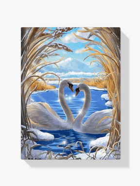 Diamond Painting Paar Zwanen - SEOS Shop ®