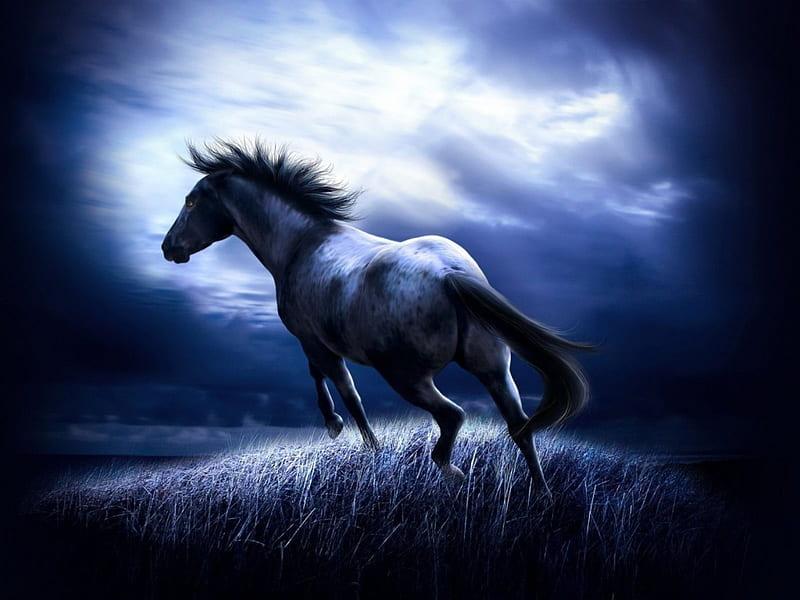 Diamond Painting Paard in het Donker – detailbeeld 2