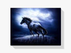 Diamond Painting Paard in het Donker – volledig paardenontwerp