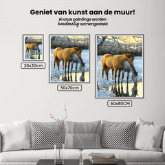 Diamond Painting Paarden drinken water - SEOS Shop ®
