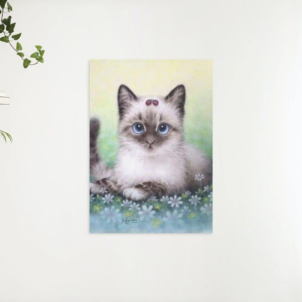 Diamond Painting Pakket Kitten - SEOS Shop ®