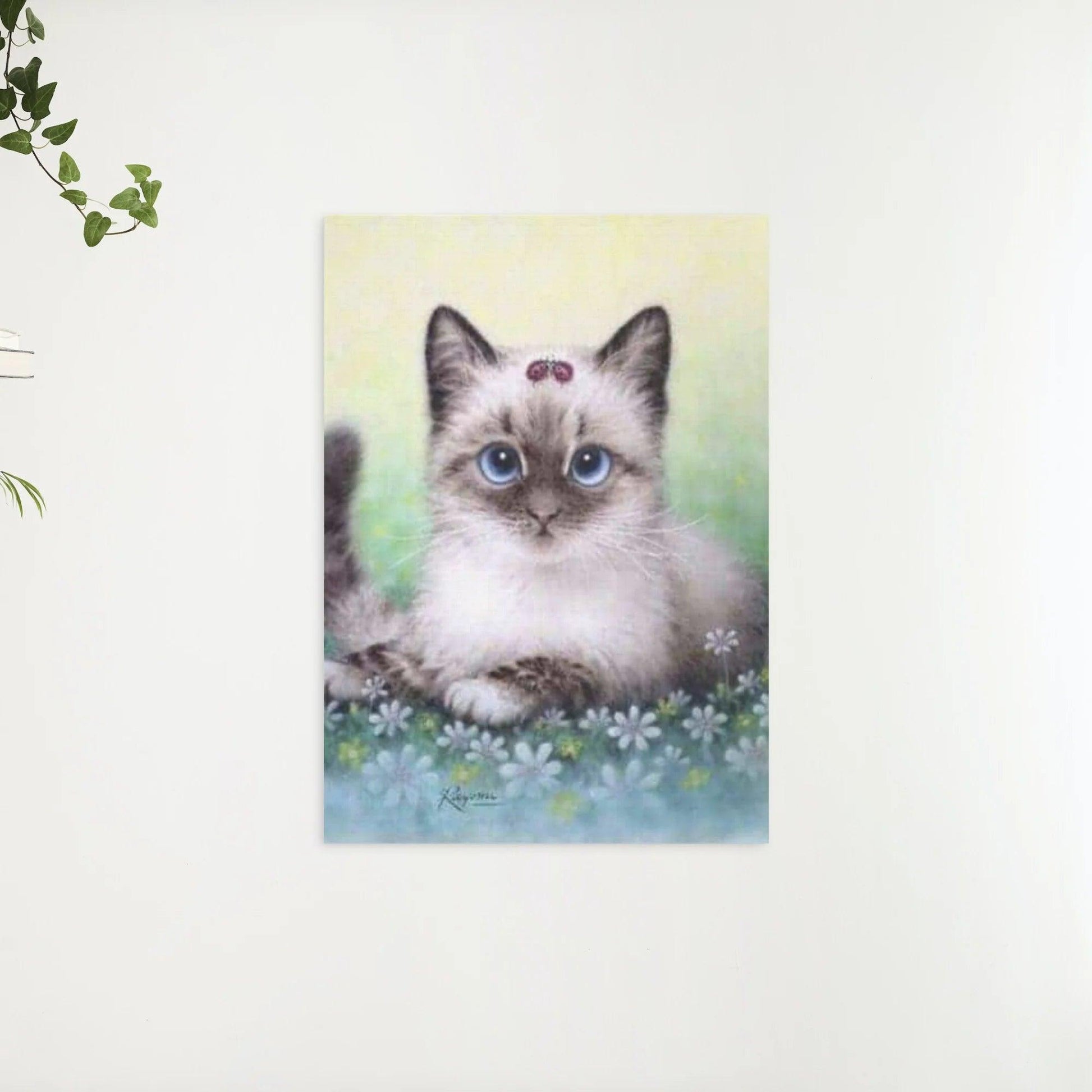 Diamond Painting Pakket Kitten - SEOS Shop ®