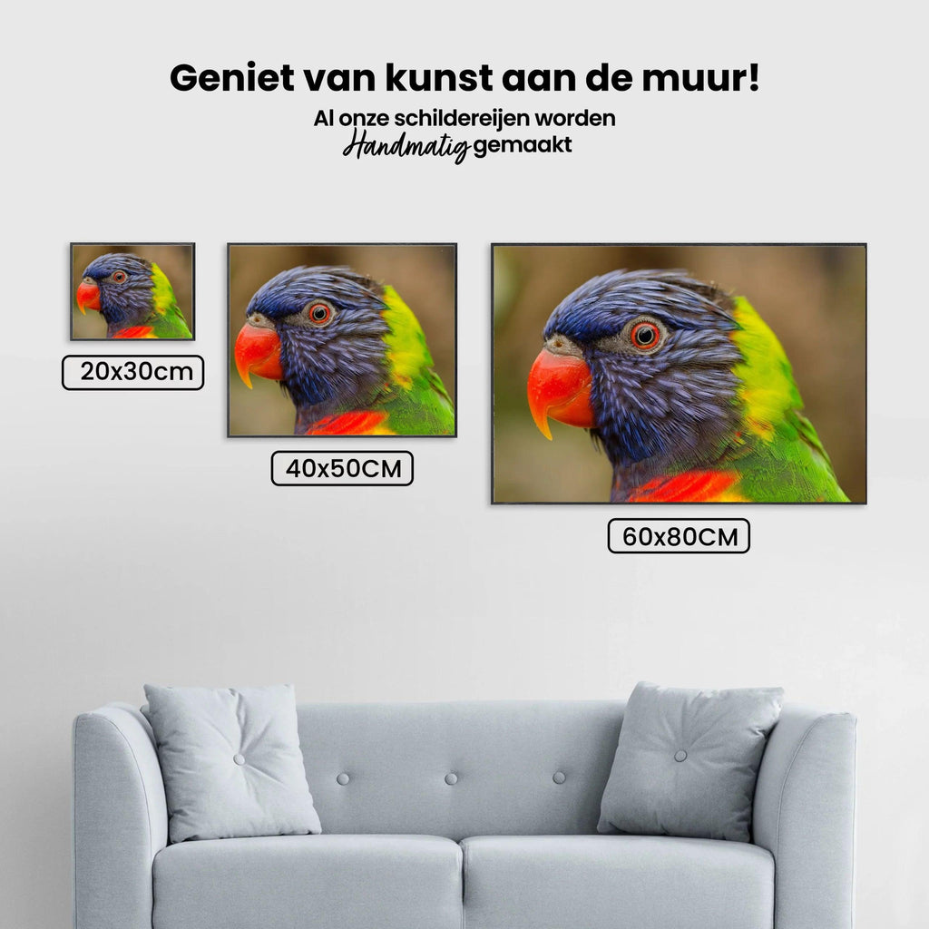 Diamond Painting Papegaai - SEOS Shop ®