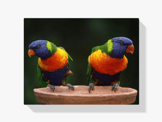 HEIBAGO 5D Diamond Painting Kits Voor Volwassenen, DIY Vogels HEIBAGO 5D Diamond Painting Kits Voor Volwassenen, DIY Vogels