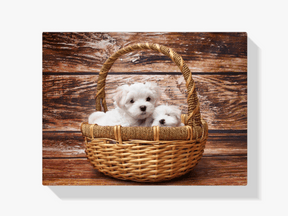Diamond Painting Puppy's in een mandje - SEOS Shop ®