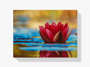 Diamond Painting Rode waterlelie - SEOS Shop ®