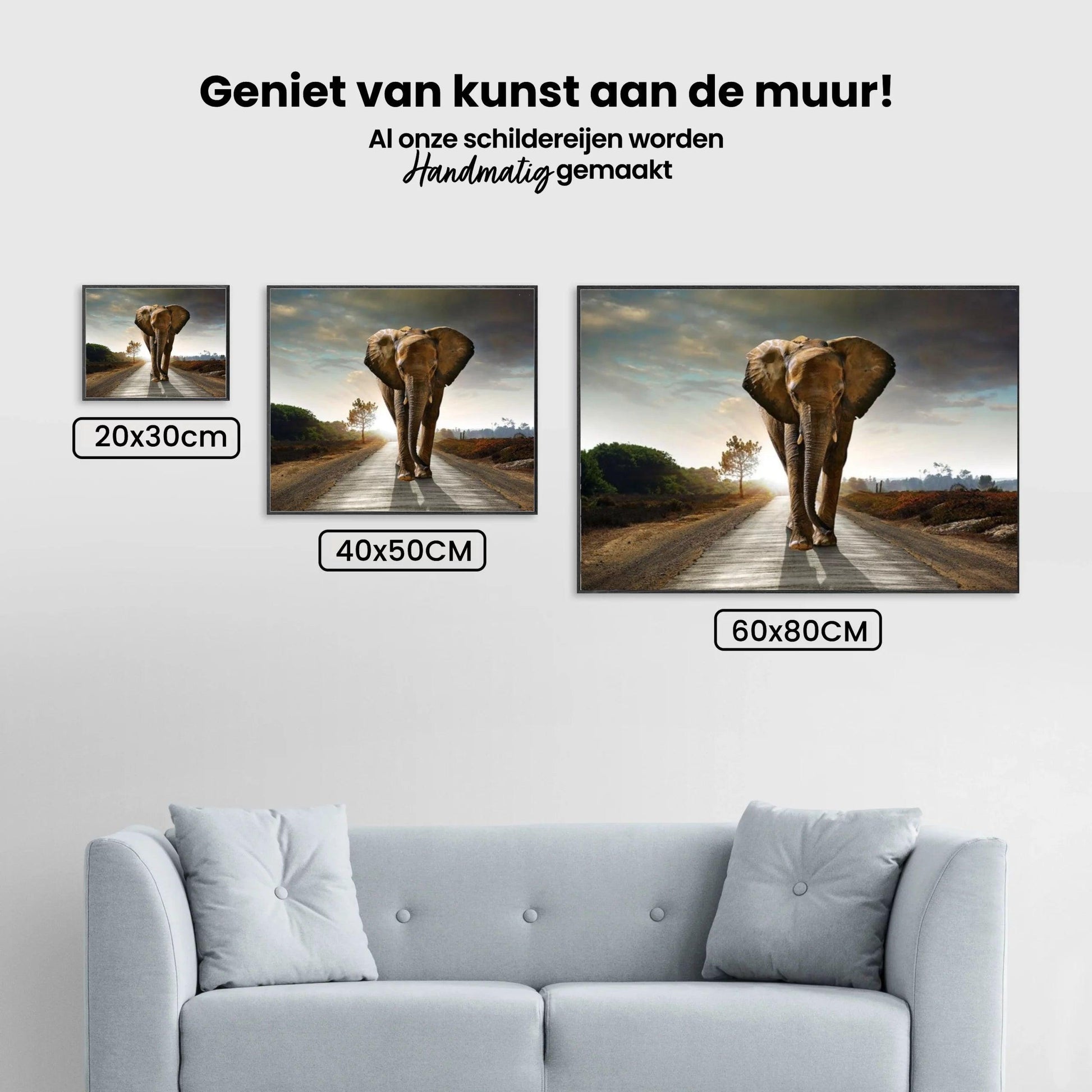 Diamond Painting Safari Olifant - SEOS Shop ®