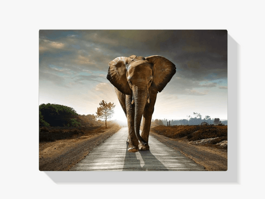 Diamond Painting Safari Olifant - SEOS Shop ®
