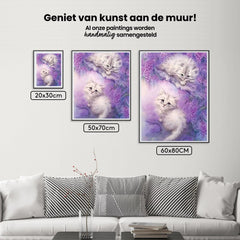 Diamond Painting Schattige Katten - SEOS Shop ®