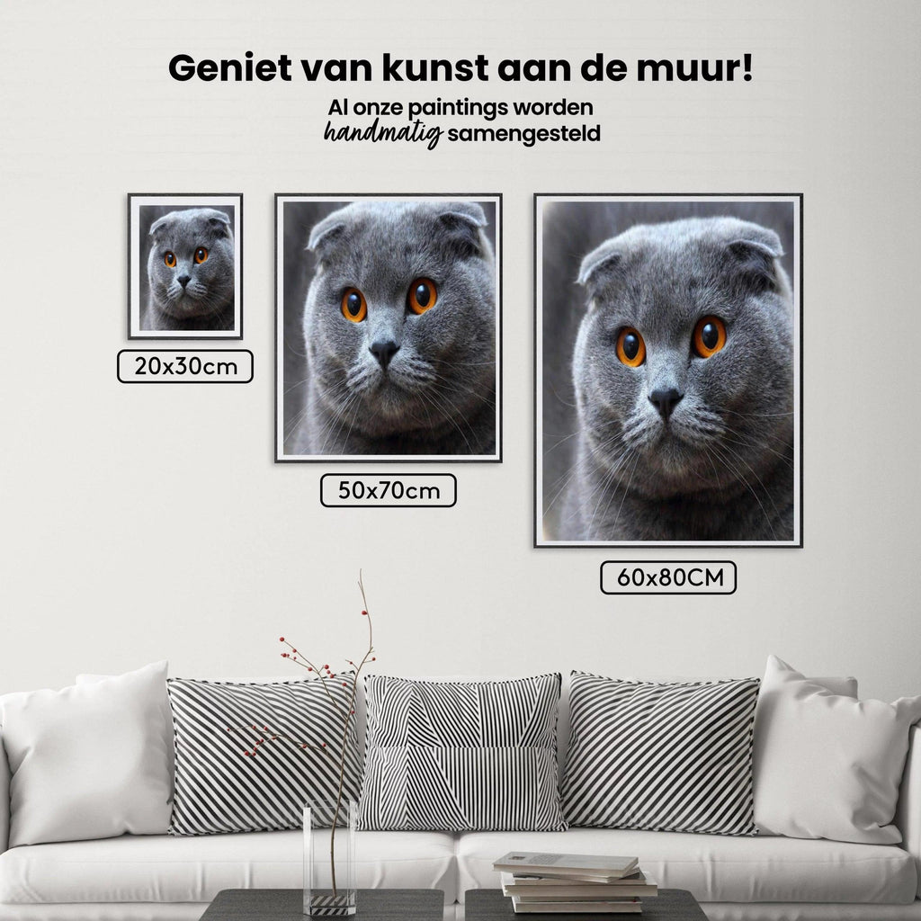 Diamond Painting Schattige kijkende kitten - SEOS Shop ®