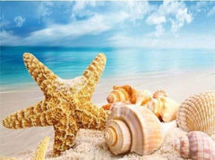 Diamond Painting Schelpen op strand – 40x50 cm – SEOS Shop ®