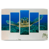 Diamond Painting Schildpad in de zee 5 luik - SEOS Shop ®