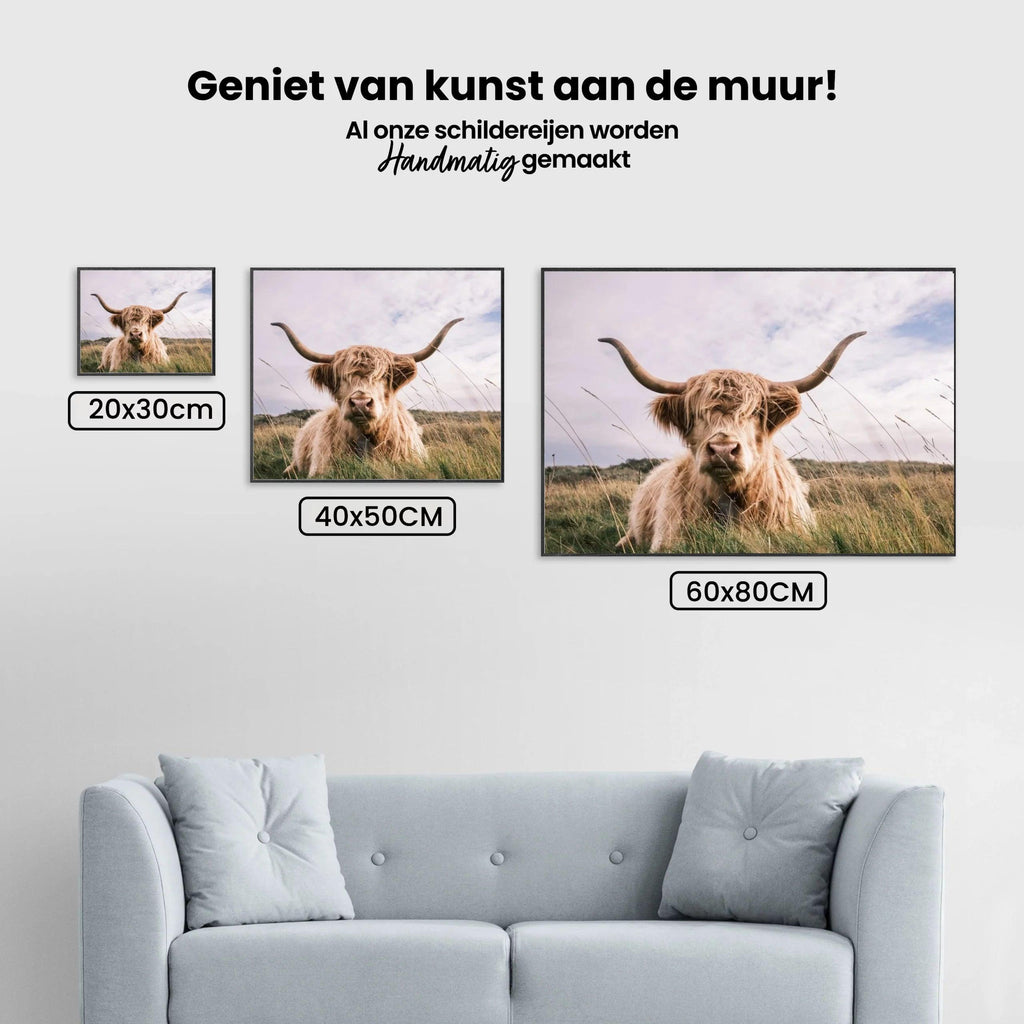 Diamond Painting Schotse hooglander - Lichtkleurige Schotse hooglander - SEOS Shop ®