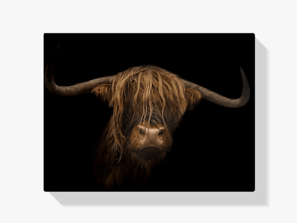 Diamond Painting Schotse hooglander - Majestueuze Schotse hooglander in beeld - SEOS Shop ®
