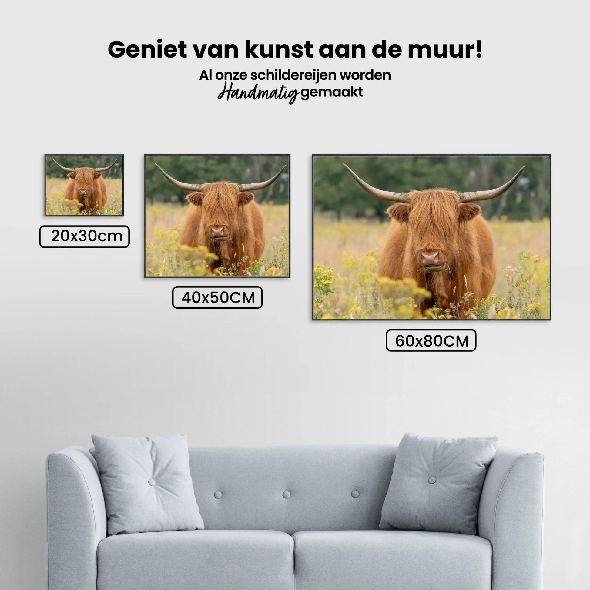 Diamond Painting Schotse hooglander - Mooie Schotse hooglander grazend in het veld - SEOS Shop ®