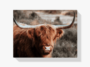 Diamond Painting Schotse hooglander - Nieuwsgierige Schotse hooglander in de heuvels - SEOS Shop ®