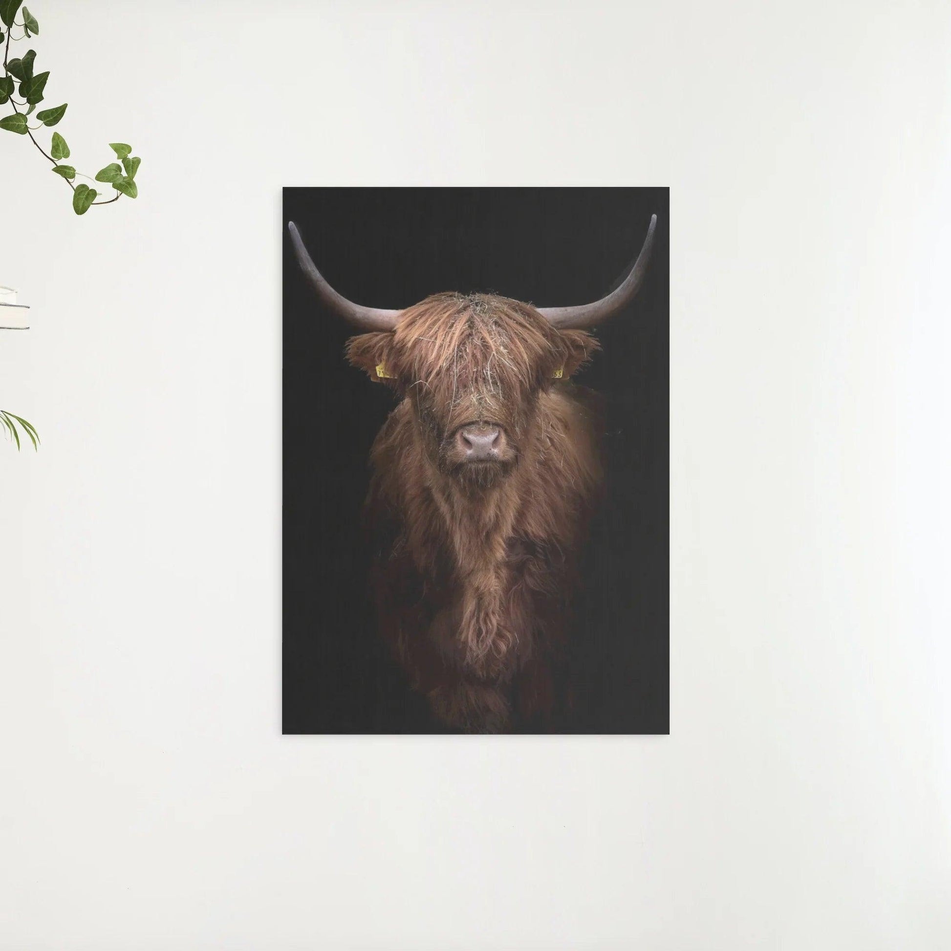 Diamond Painting Schotse hooglander - Roodbruine Schotse hooglander van dichtbij - SEOS Shop ®