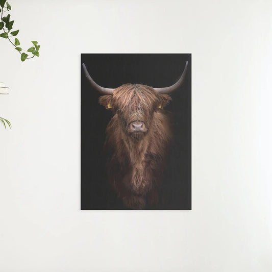 Diamond Painting Schotse hooglander - Roodbruine Schotse hooglander van dichtbij - SEOS Shop ®