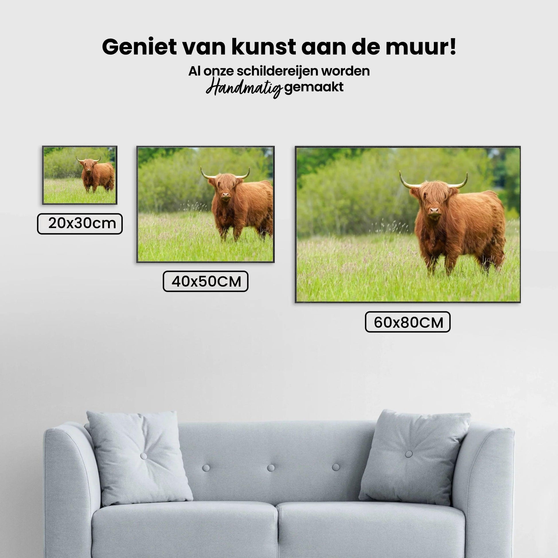 Diamond Painting Schotse hooglander - Schattige Schotse hooglander op een zonnige dag - SEOS Shop ®