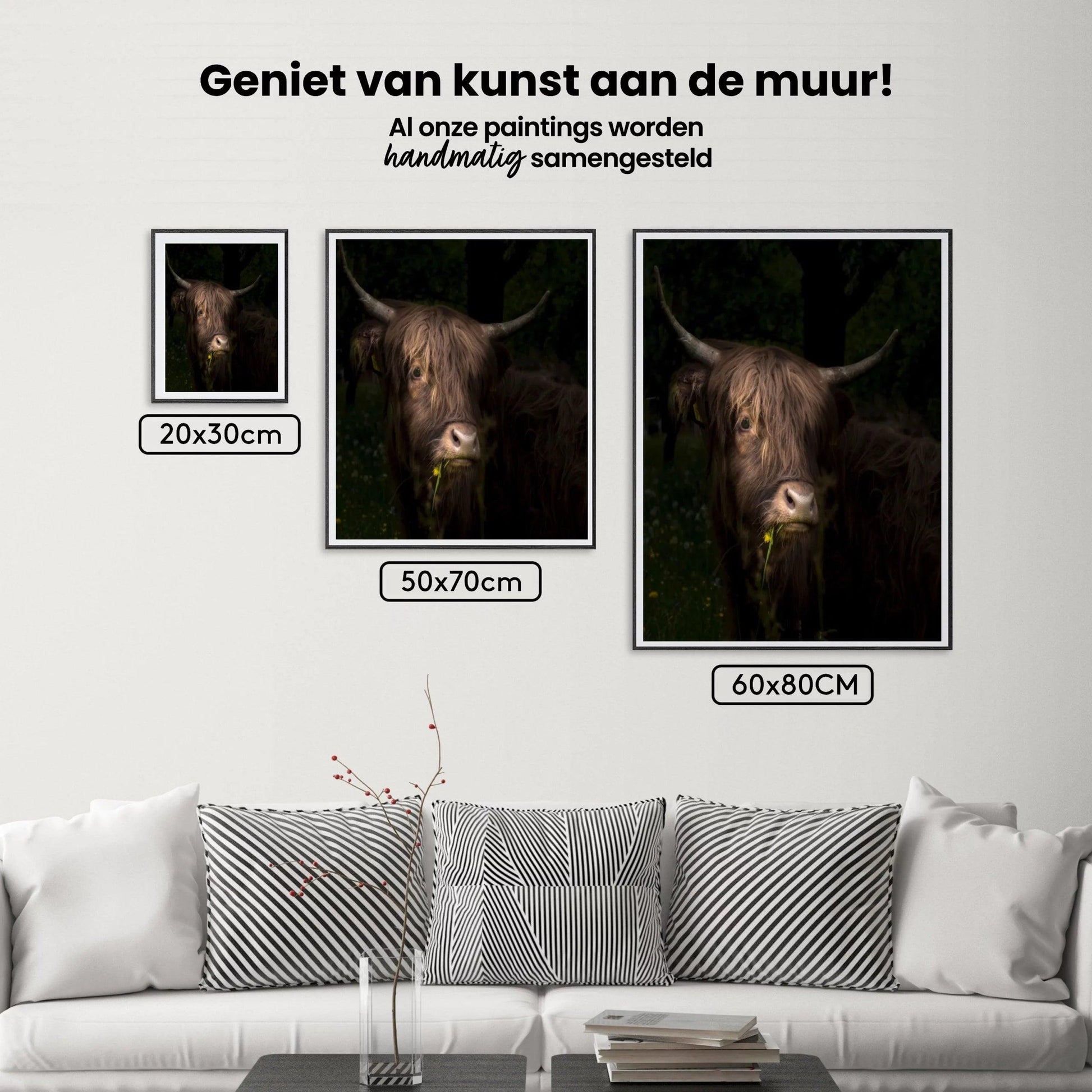 Diamond Painting Schotse hooglander - Schots hooglandrund met paardenbloem en gras in de bek - SEOS Shop ®