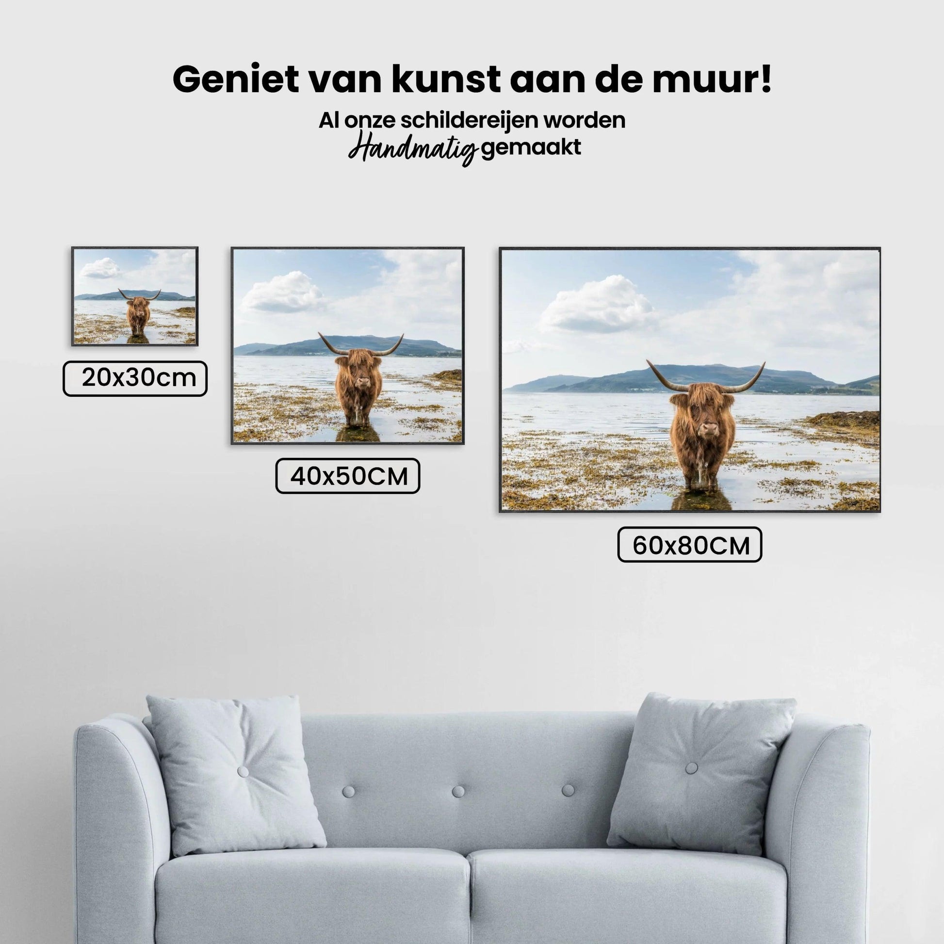 Diamond Painting Schotse hooglander - Schotse hooglander aan het afkoelen - SEOS Shop ®