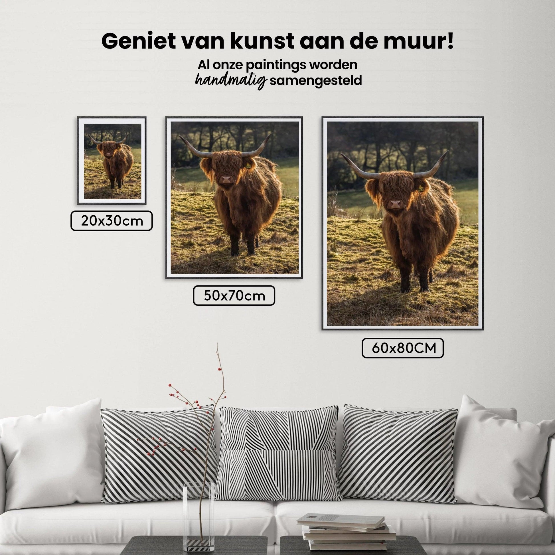 Diamond Painting Schotse hooglander - Schotse hooglander grazend in de velden - SEOS Shop ®