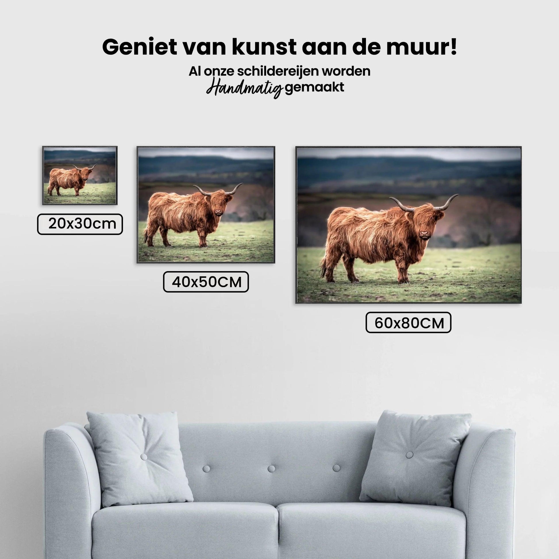 Diamond Painting Schotse hooglander - Schotse hooglander grazend op het platteland van Zuid-Wales - SEOS Shop ®