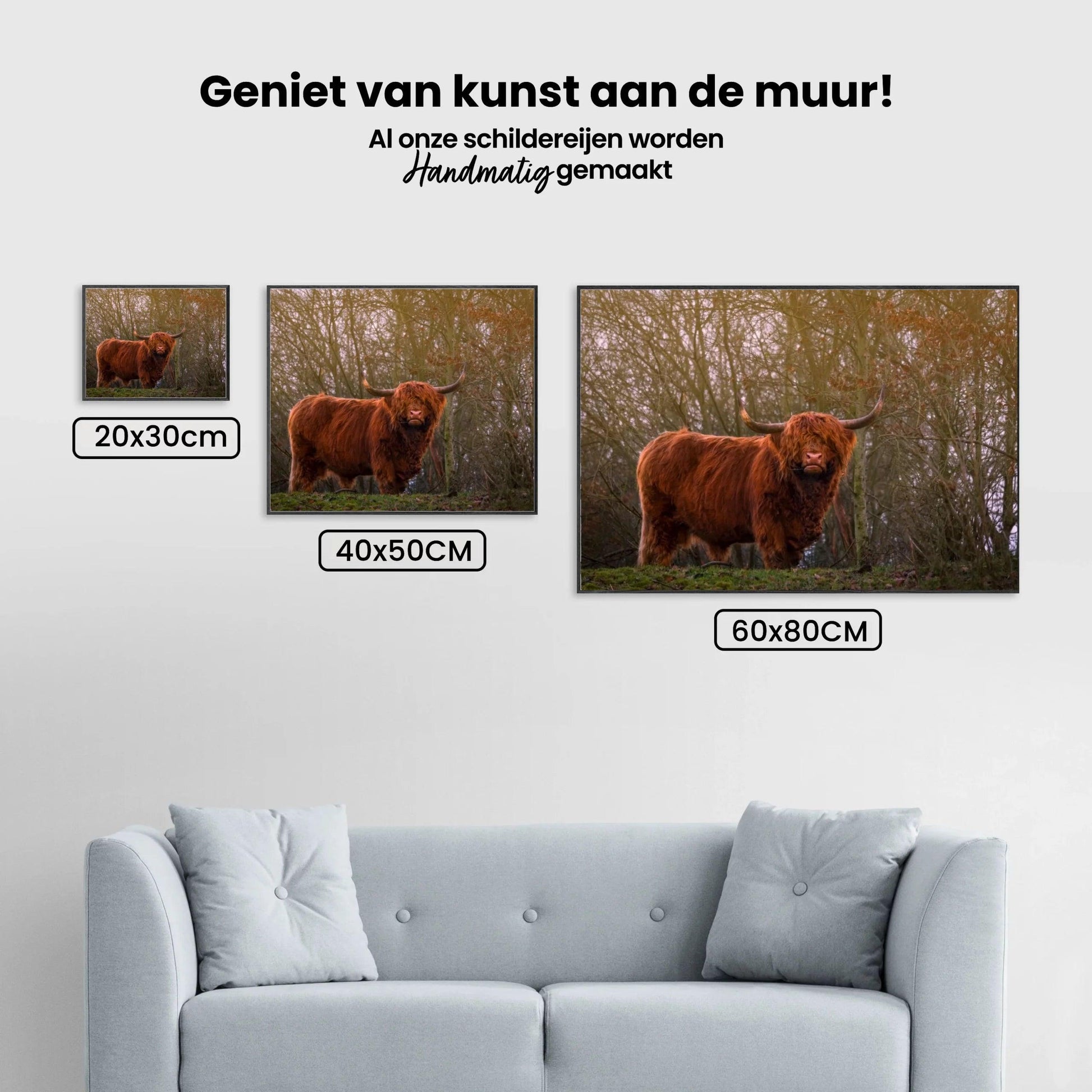 Diamond Painting Schotse hooglander - Schotse hooglander in de avondzon - SEOS Shop ®