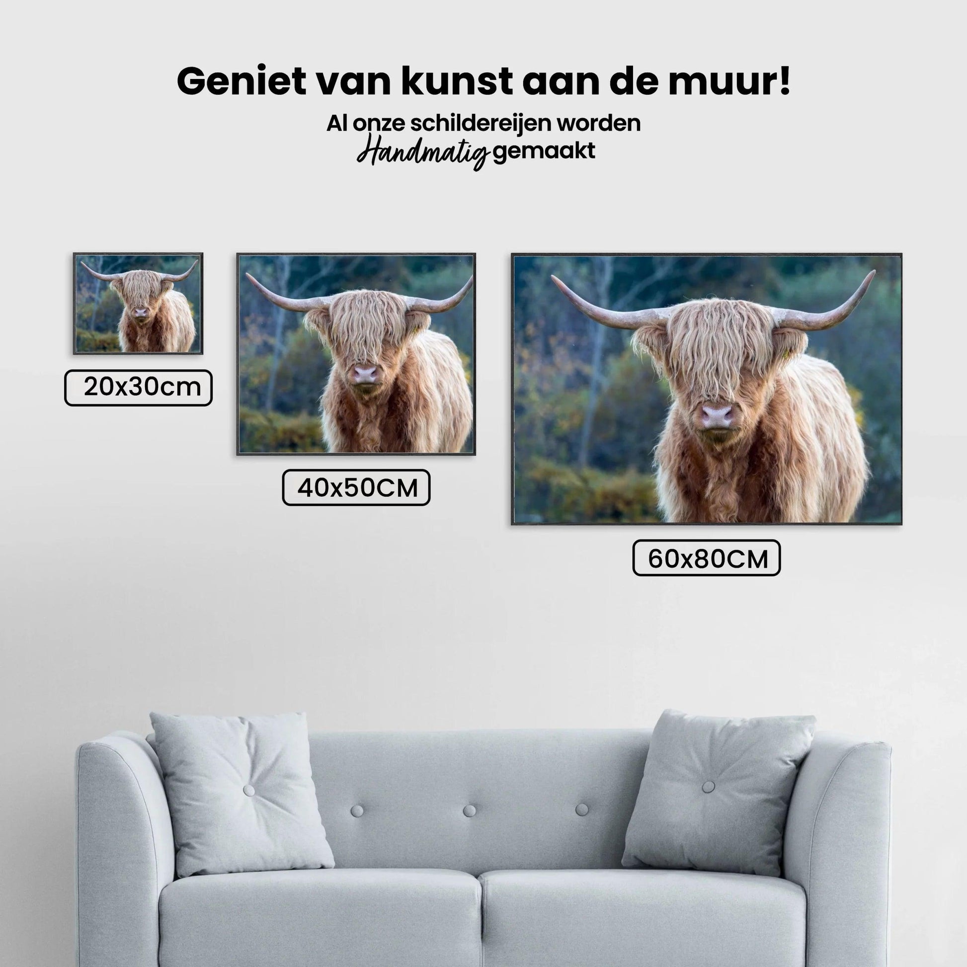 Diamond Painting Schotse hooglander - Schotse hooglander in de wildernis - SEOS Shop ®