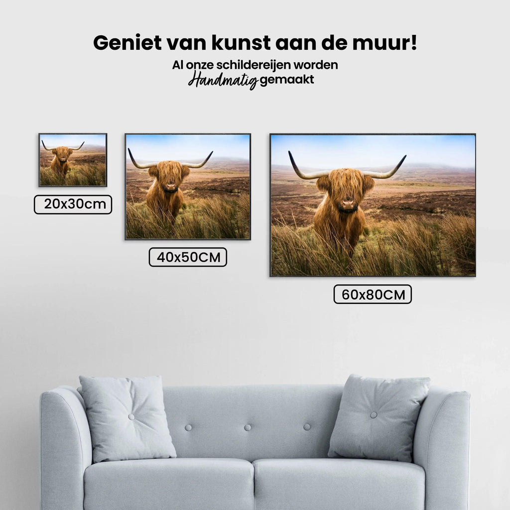 Diamond Painting Schotse hooglander - Schotse hooglander in het veld kijkend naar de camera - SEOS Shop ®