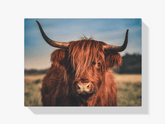 Diamond Painting Schotse hooglander - Schotse hooglander in het wild - SEOS Shop ®