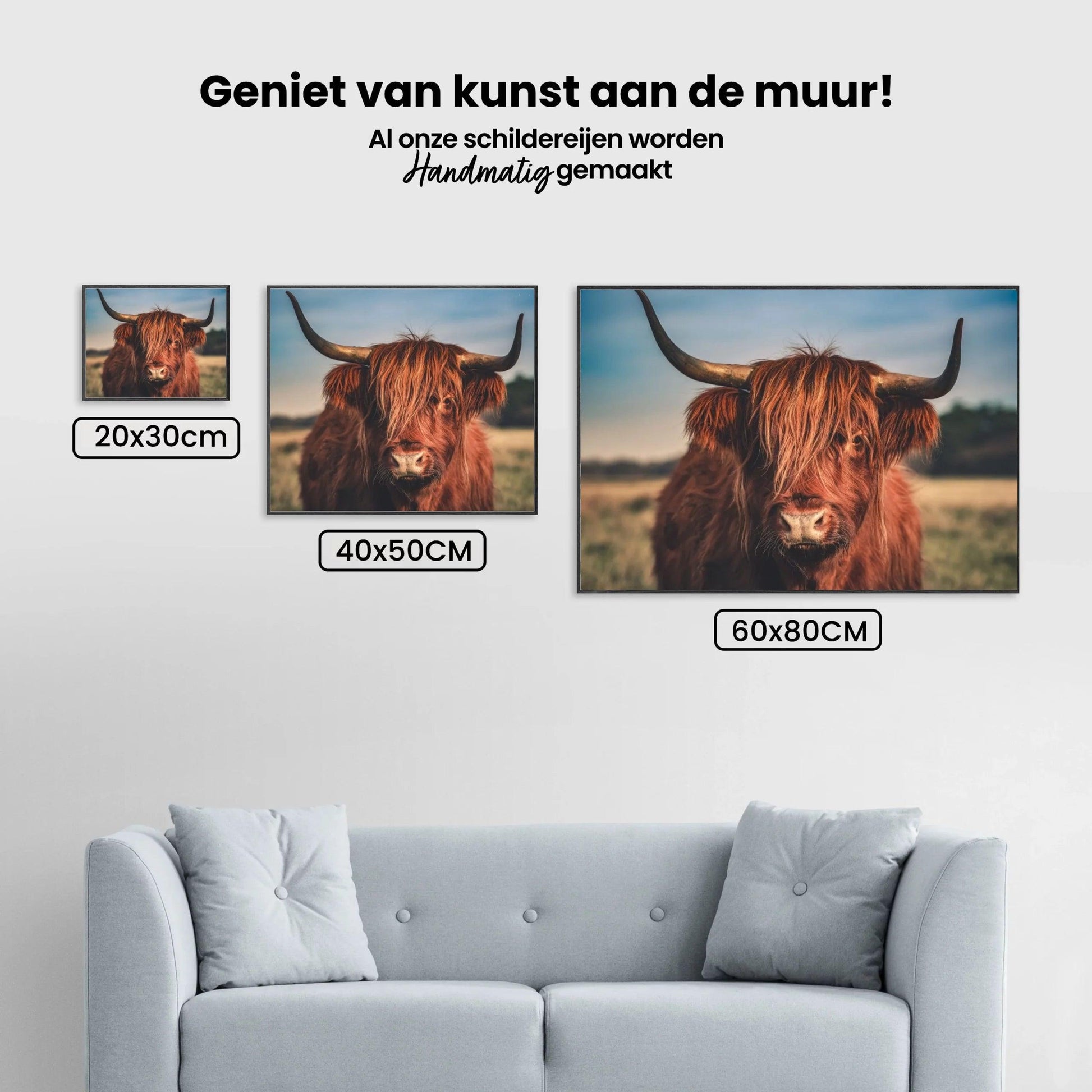 Diamond Painting Schotse hooglander - Schotse hooglander in het wild - SEOS Shop ®
