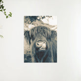 Diamond Painting Schotse hooglander - Schotse hooglander in sephia stijl - SEOS Shop ®